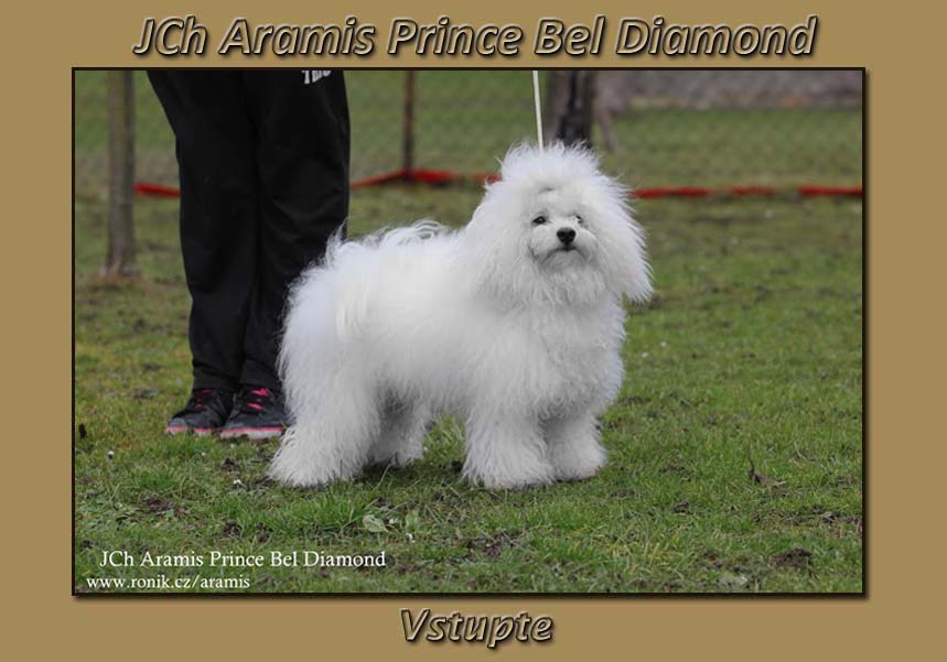 Aramis Prince Bel Diamon - vstupte